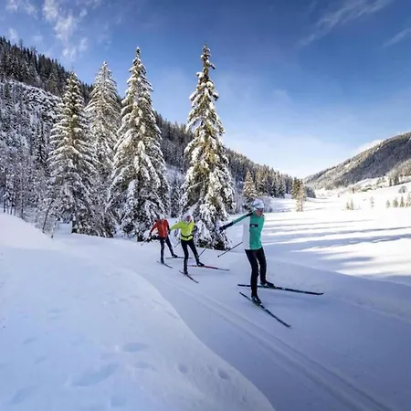 Sunlit With Jacuzzi In Turracherhohe Turracher Hohe
